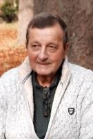 Louis Saenen